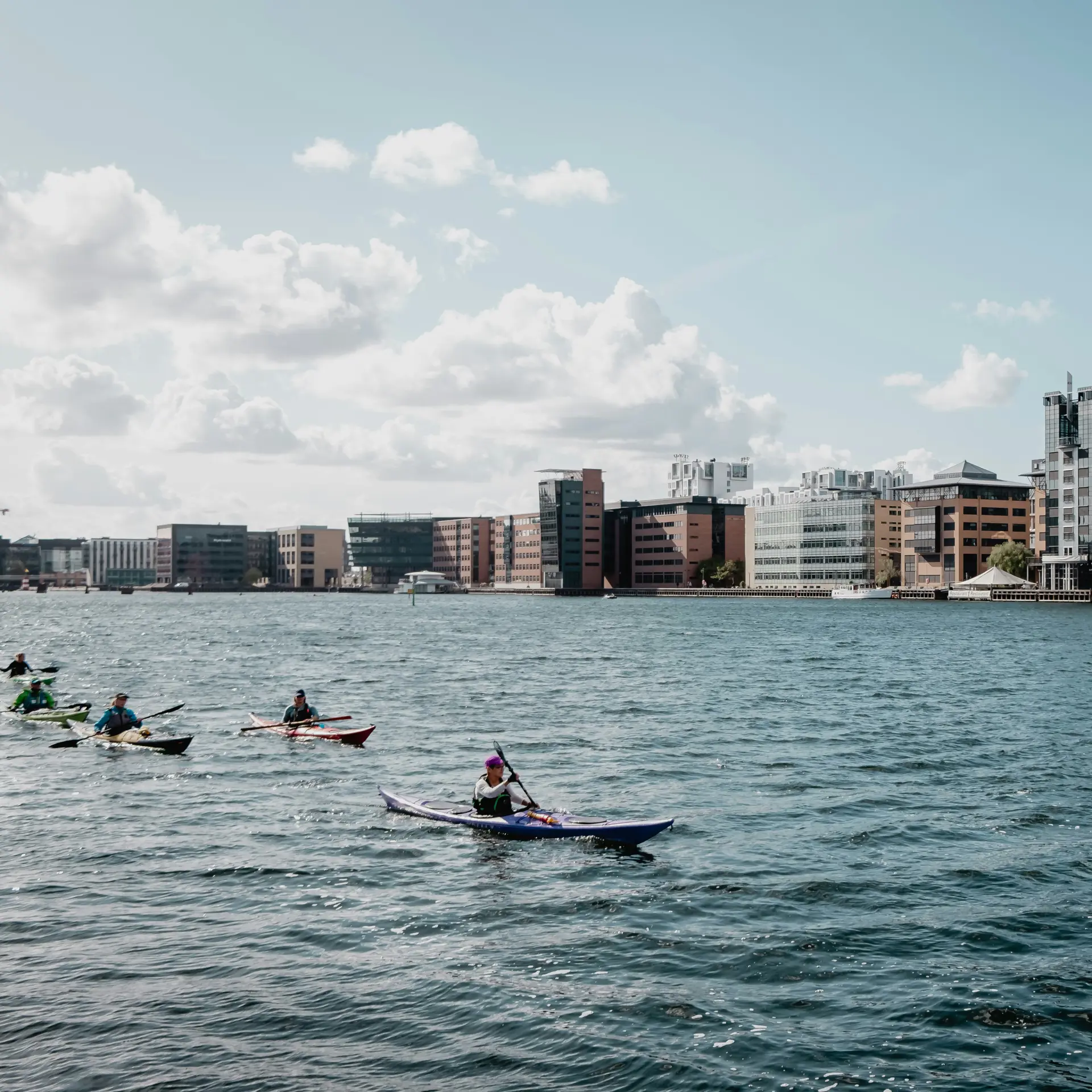 Kajakker i Københavns havn med moderne bygninger i baggrunden