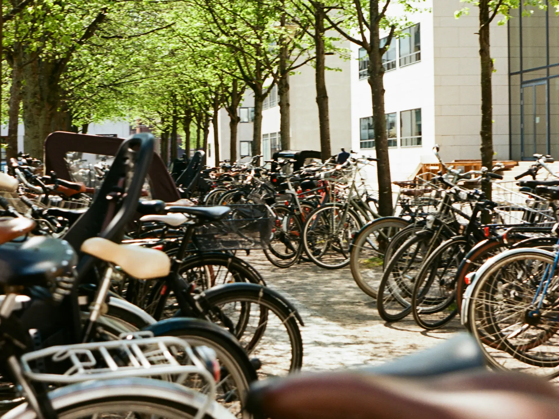 Række af cykler parkeret på skyggefuld gade i København